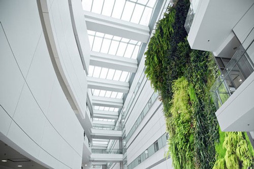 Living Walls Transform Green Interiors | TKO Fitouts