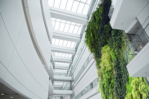 Indoor Living Wall