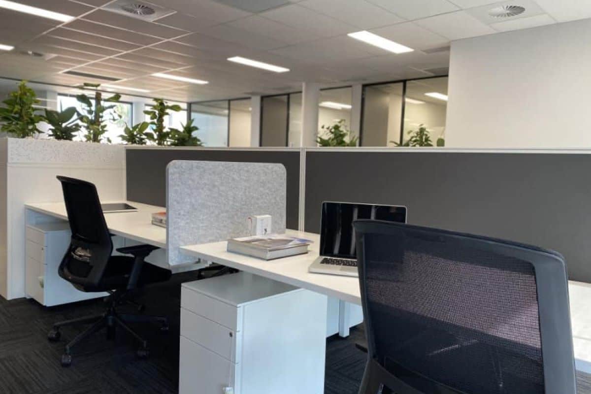 Open Plan Area - Rox Resources Office Fitout